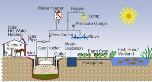 LAS-puxin-biogas_model_big